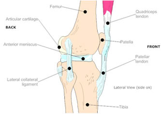 Mana Orthopaedics: Wellington Orthopaedic Surgeons